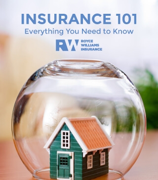 Insurance 101 Everything you Need to Know eBook